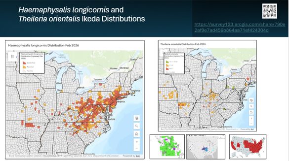 Haemaphysalis longicornis and Theileria orientalis Ikeda Distributions Map