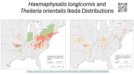 Map of the distributions of the Haemaphysalis longicornis and Theileria Orientalis Ikeda