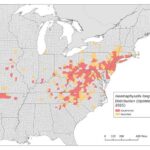 Map showing the distribution of Haemaphysalis longicornis within the US as of December 2025