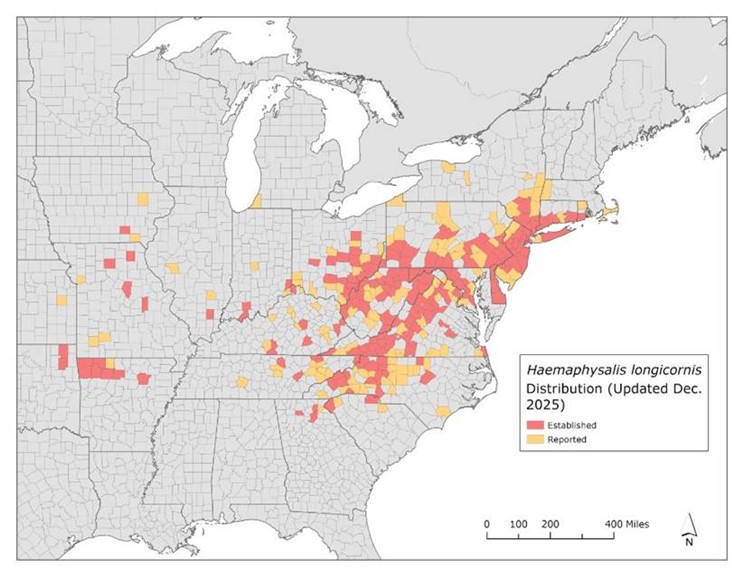 Map showing the distribution of Haemaphysalis longicornis within the US as of December 2025