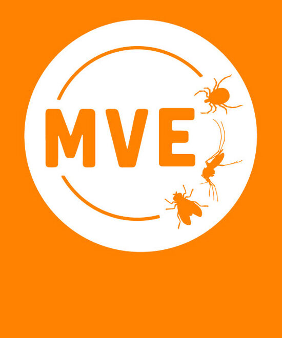 MVE Graphic Logo 